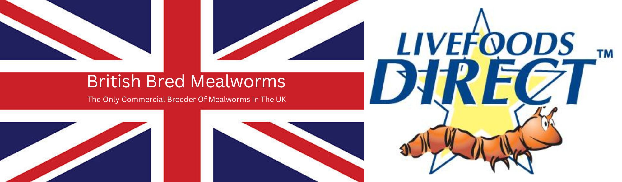British Bred Mealworms